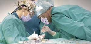 Nuevo servicio de Cirugía Bucal a cargo de la Dra. Berta Cortés